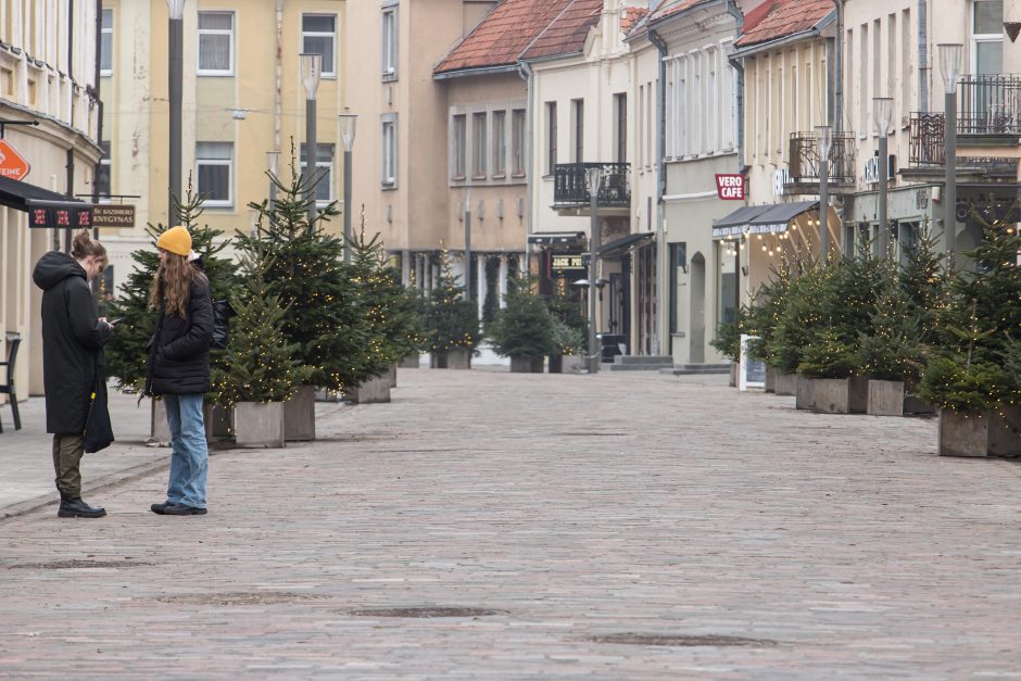 Vilniaus gatvėje – naujovės: atsirado suoliukai ir šiukšliadėžės