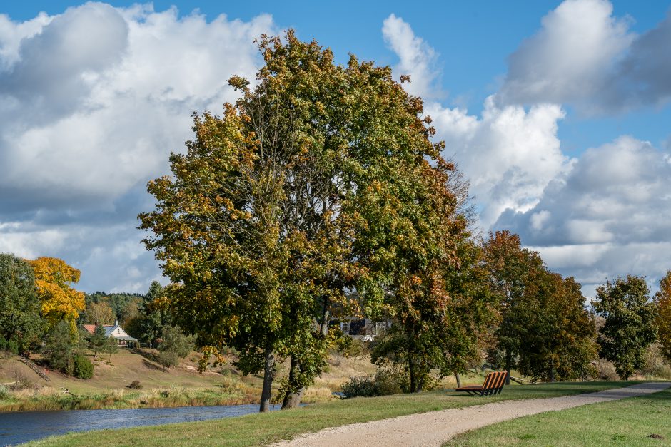 Korekcijos Nemuno ir Nevėžio santakos kraštovaizdžio draustinyje: kas keičiasi?