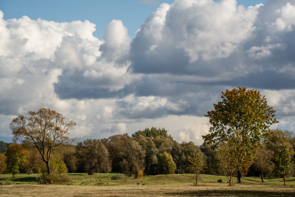 Korekcijos Nemuno ir Nevėžio santakos kraštovaizdžio draustinyje: kas keičiasi?