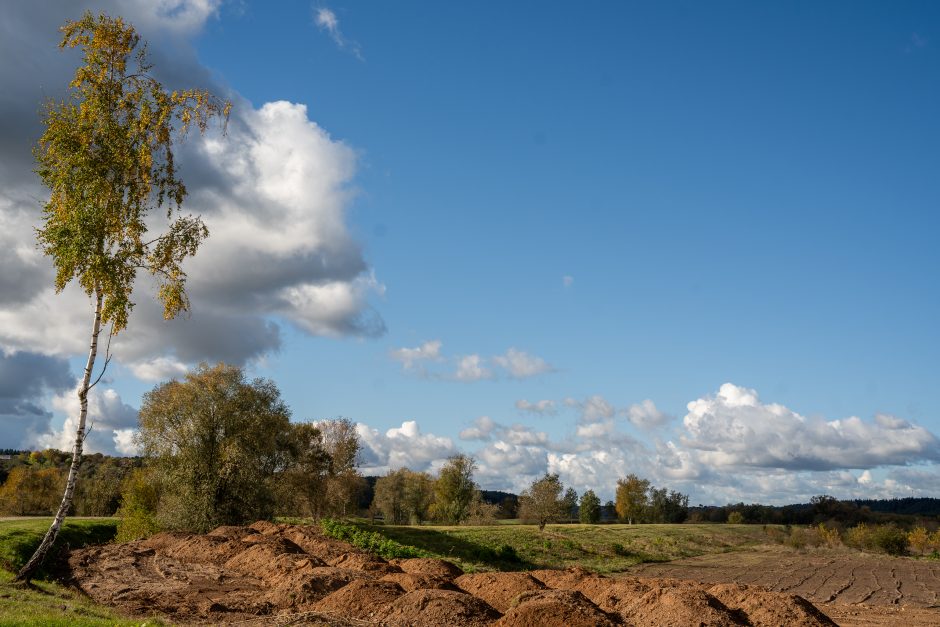 Korekcijos Nemuno ir Nevėžio santakos kraštovaizdžio draustinyje: kas keičiasi?