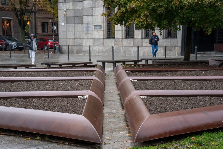 Miesto gėlynuose nebeliko spalvų – pasitinka tuščios klombos