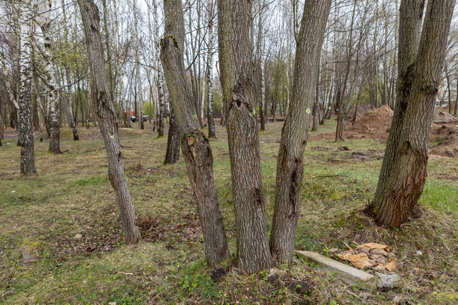 Skvere klojami takai, nors neišvežtos šiukšlės?