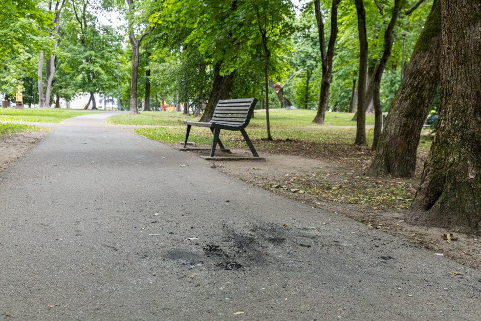 Akibrokštas Ramybės parke: skandalingo įvykio vietoje nutverti užsieniečiai – tik atpirkimo ožiai?