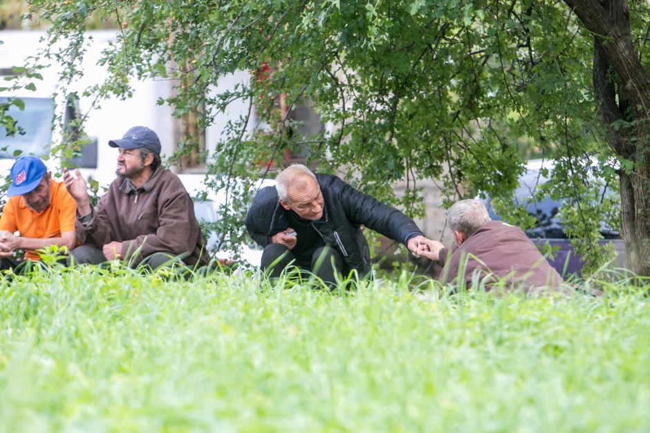 Benamių viešbutis po krūmais: vieni nori būti pakrikštyti, kiti – numirti