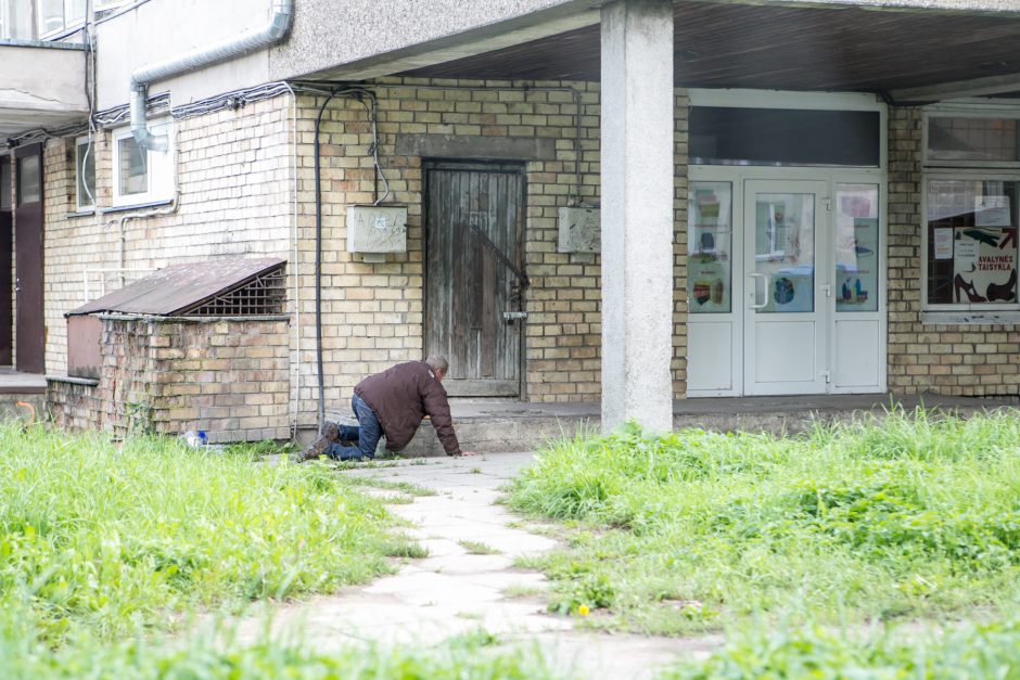 Benamių viešbutis po krūmais: vieni nori būti pakrikštyti, kiti – numirti