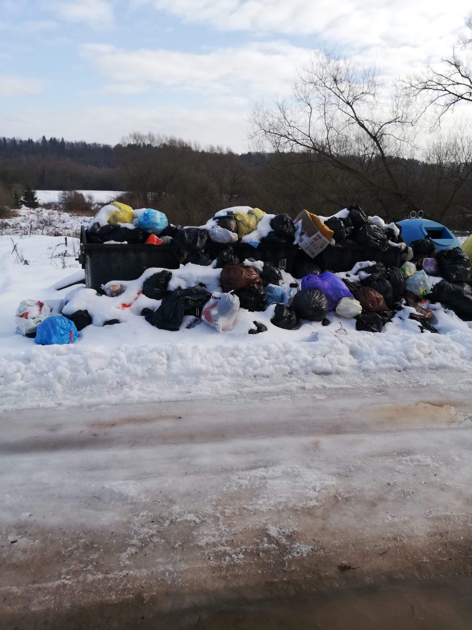 Gyventojai priversti kęsti smarvę: nuo gruodžio neišveža šiukšlių