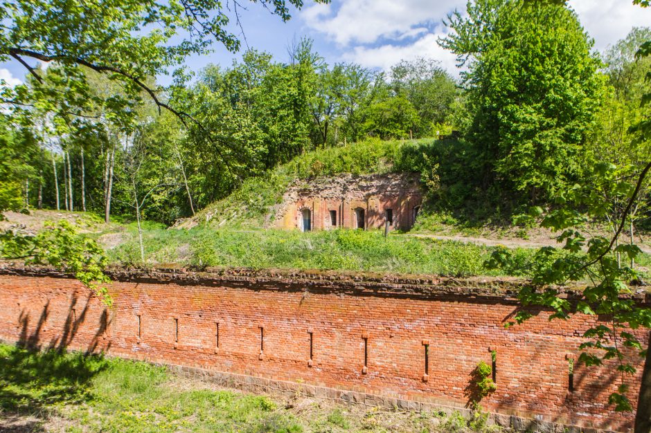 V forte svarbiau išsaugoti paveldą ar medžius?