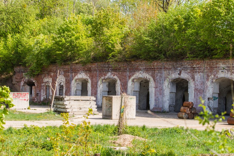 V forte svarbiau išsaugoti paveldą ar medžius?