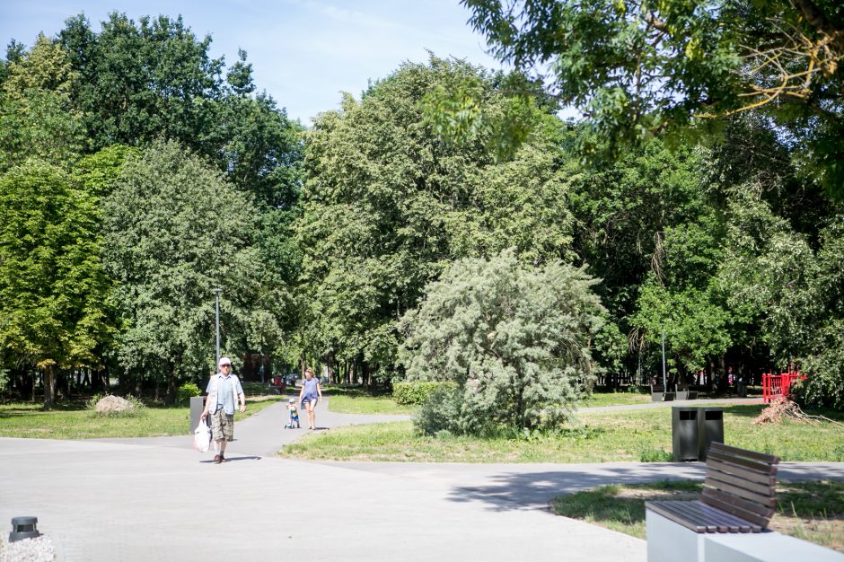 Kodėl atnaujintame parke džiūsta medžiai?