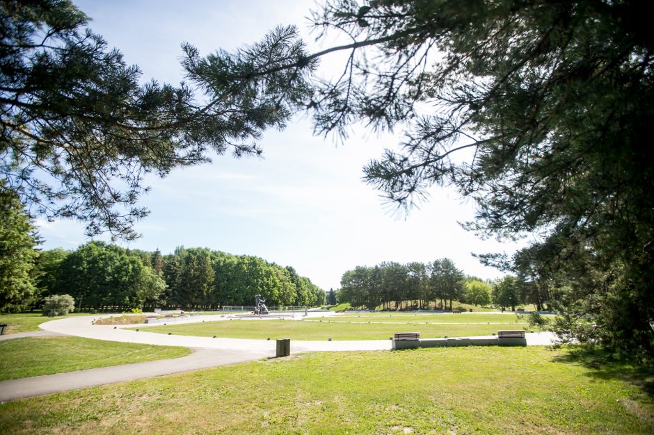 Kodėl atnaujintame parke džiūsta medžiai?