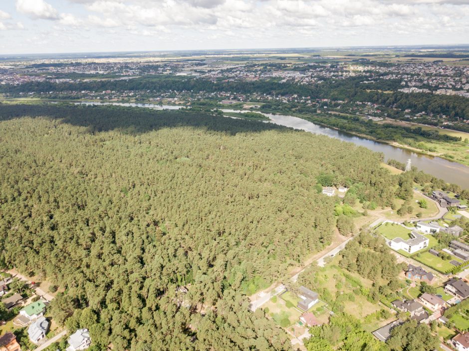 Vandenviečių sklypai – verteivų akiratyje