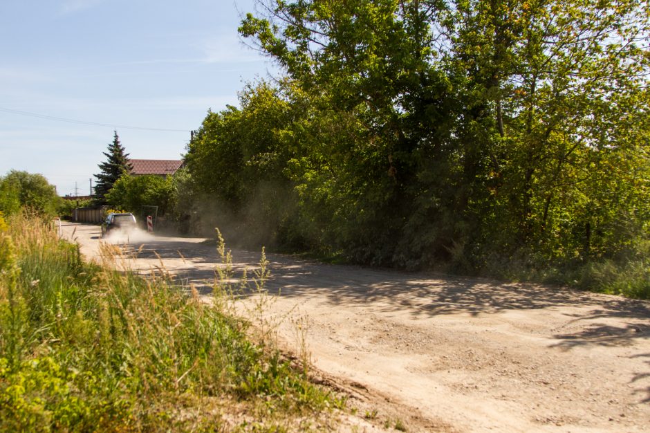 Gyventojai dūsta nuo dulkių, bet miestui tai – nė motais?