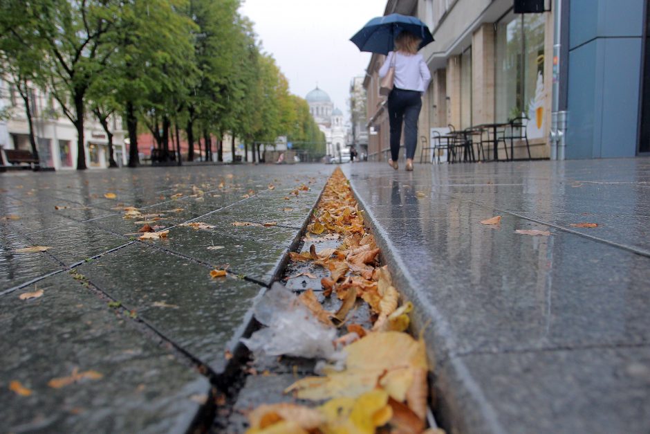 Ar Lietuva turės naudos iš klimato atšilimo?