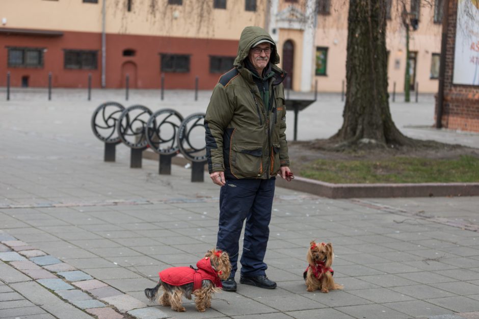 Kiaulės metai kauniečių akimis: nuomonės išsiskyrė