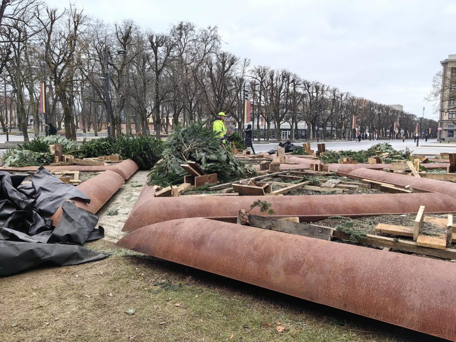Išvežamos kalėdinės eglutės: teks palaukti, kol klombose pražys nauji žiedai
