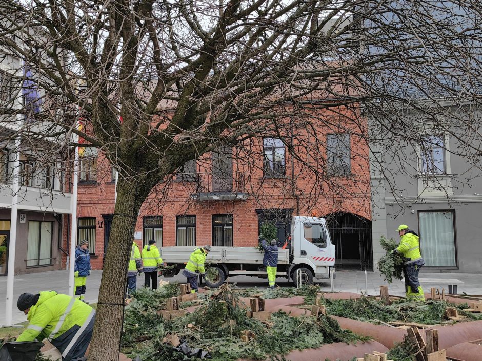Išvežamos kalėdinės eglutės: teks palaukti, kol klombose pražys nauji žiedai