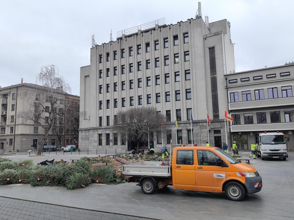 Išvežamos kalėdinės eglutės: teks palaukti, kol klombose pražys nauji žiedai