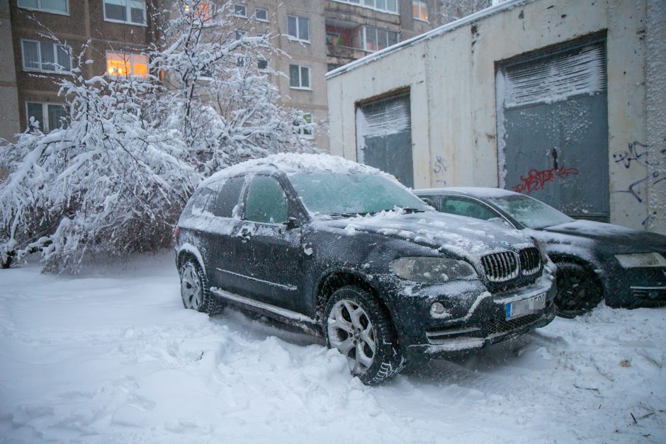 Ugniagesiai kliūtis šalina be atokvėpio: medžius teko nukelti ir nuo automobilių