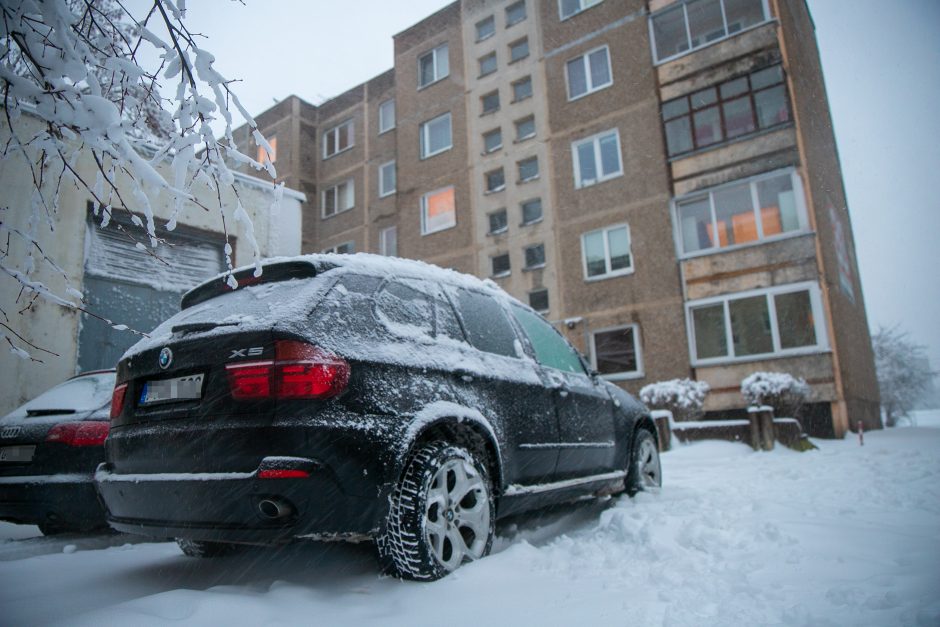 Ugniagesiai kliūtis šalina be atokvėpio: medžius teko nukelti ir nuo automobilių