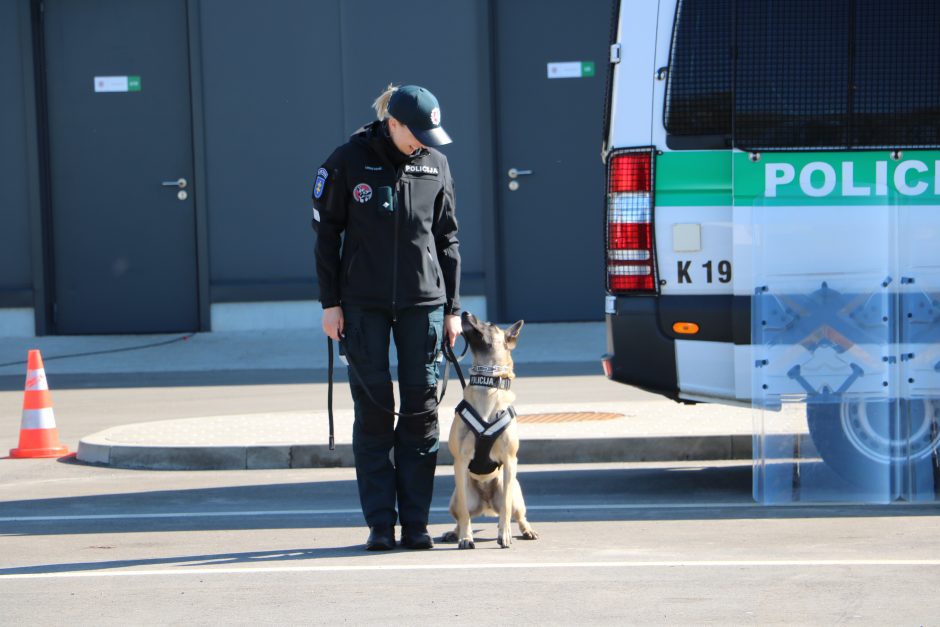 Po pertraukos Kauno policija vėl atvėrė duris moksleiviams