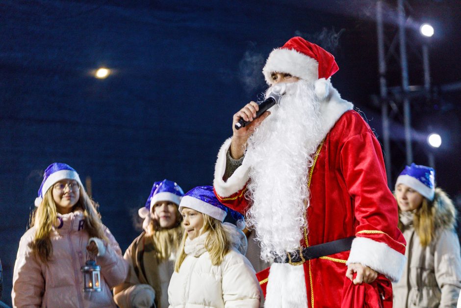 Kauno rajone apsigyveno Kalėdos: Raudondvaryje įžiebta gražuolė eglė!