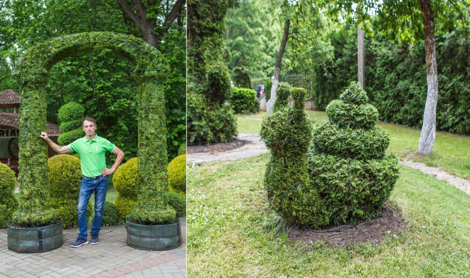 Menininkas: žaliosios skulptūros – augalų grožio ir žmogaus išmonės darna