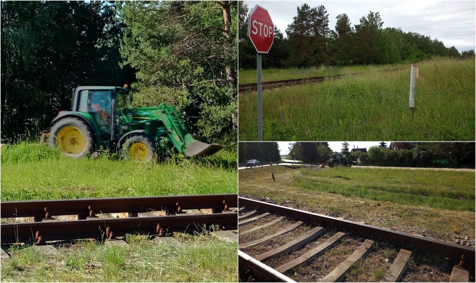 Traukinių nematyti per žolę: kas atsakytų, jei įvyktų tragedija?