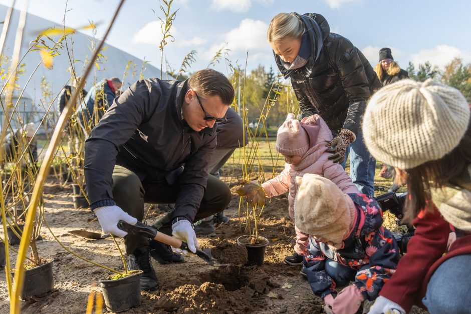 Sostinėje per rudeninę talką pasodinta per 3 tūkst. krūmų