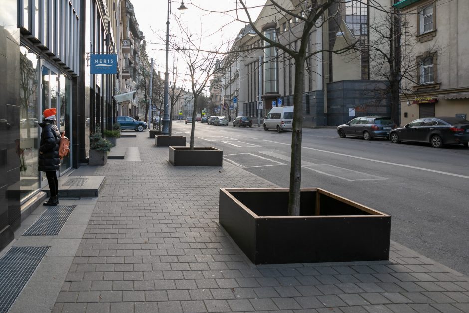 Vilniaus medžius nuo žalingo druskų poveikio vėl saugos aptvėrimai