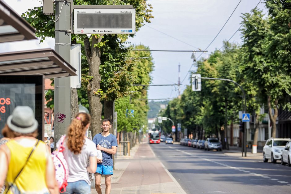 Nepatogumai keleiviams: kilstelėjęs galvą, tvarkaraščio nepamatysi