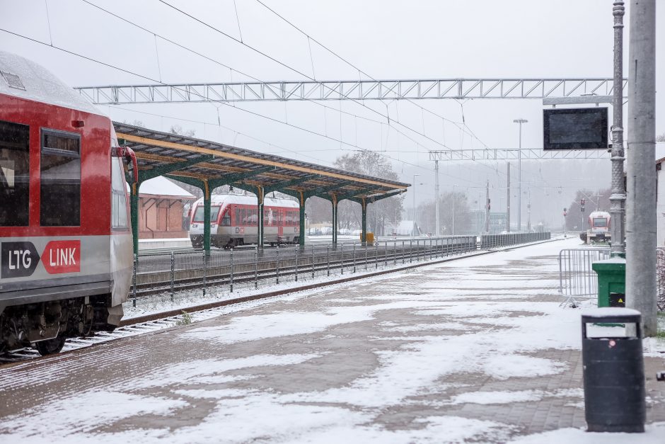 Sumaištis stotyje: dėl avarijos atšaukta daugybė traukinių reisų, bet bilietus vis tiek pardavė