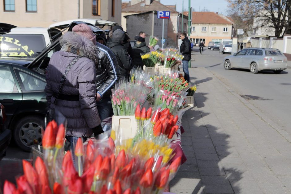 Artėja kovo 8-oji: lietuviai graibsto lenkiškas tulpes