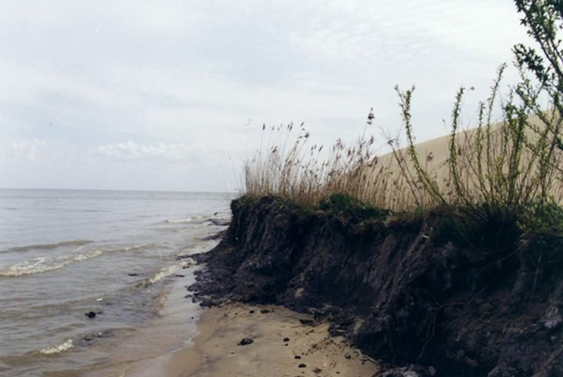 Kuršių nerijoje yra galimybių išgauti gydomojo purvo