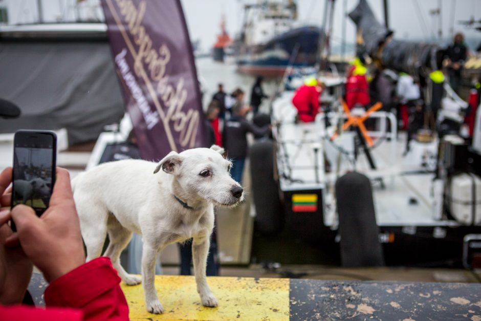 Jachtą „Ambersail 2“ Klaipėda pasitiko su trispalvėmis ir lietumi