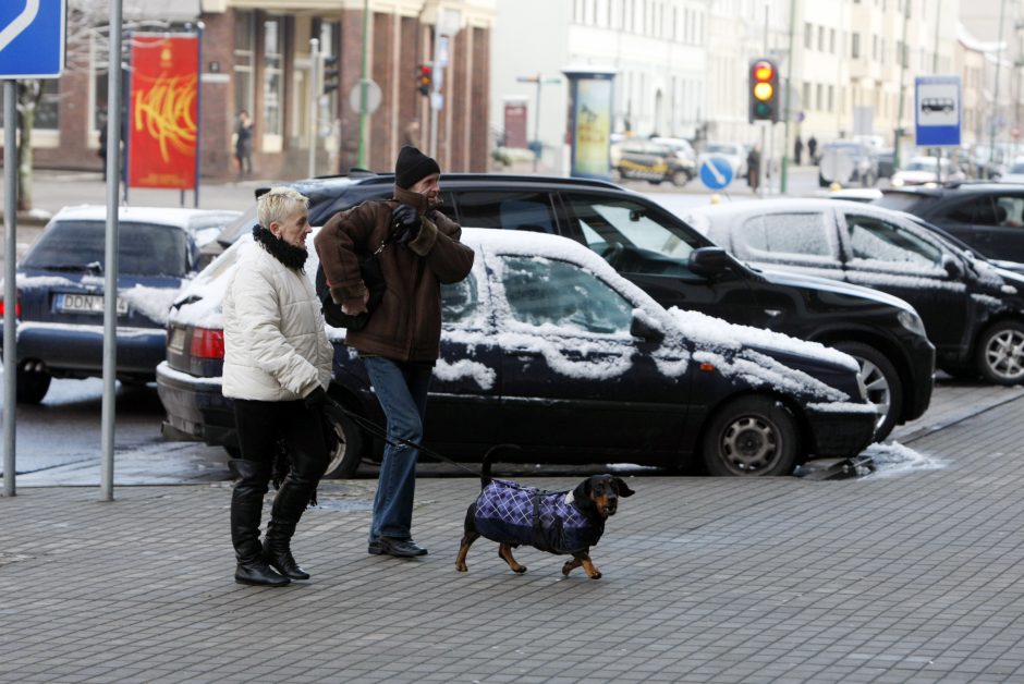 Klaipėdiečiams šaltis kaulų nelaužo