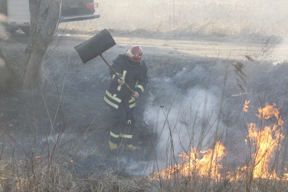 Liepsnojanti žolė vėl kelia grėsmę