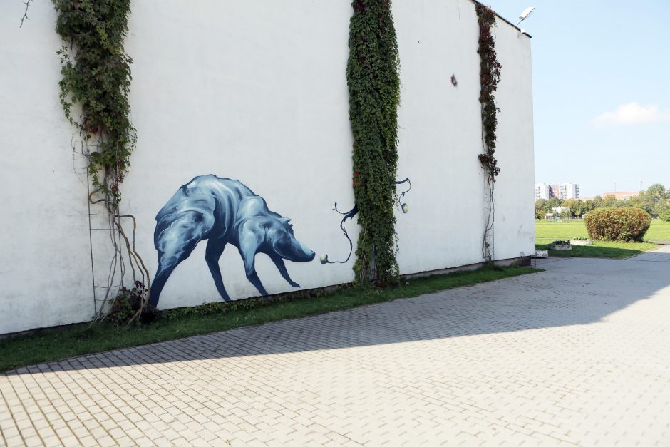 Grafitininkų kirtis – dar vienai mokyklai