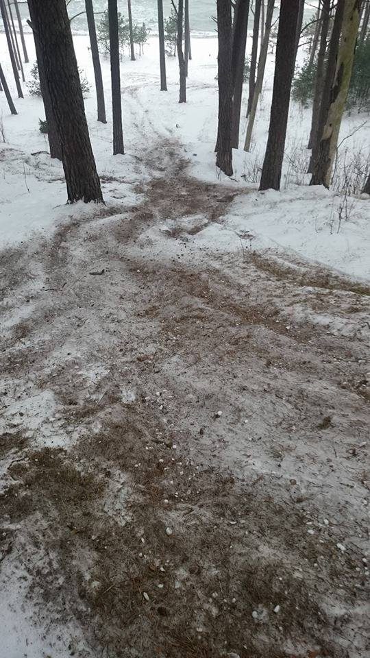 Keturračiais Olando Kepurės draustinyje siaučia nebaudžiami