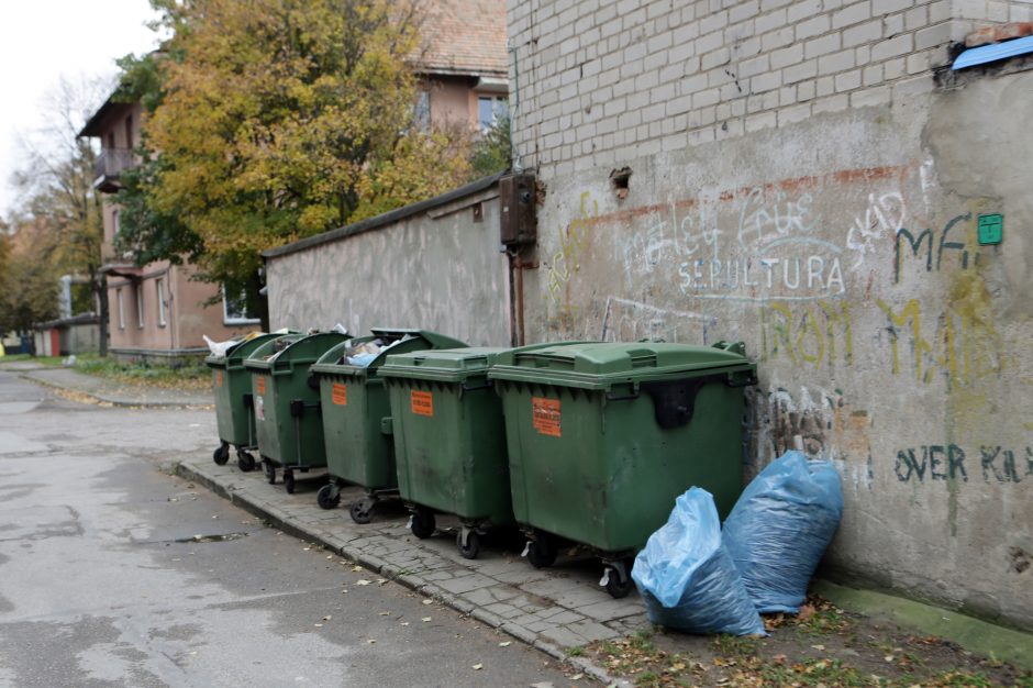 Svarsto, kas valys konteinerių aikšteles