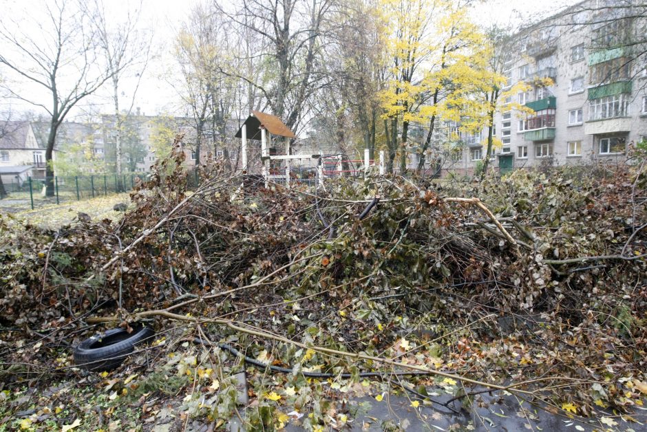 Gyventojus papiktino paliktos šakos