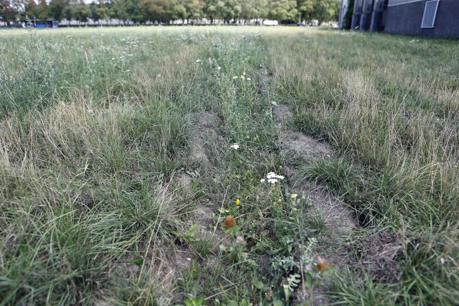 Cirkininkai įžūliai apmulkino miestą?