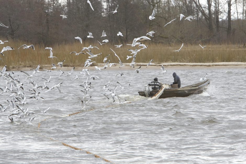 Vasario 16-ąją žvejyba – be leidimų, ministerija įspėja apie pavojų ant tirpstančio ledo