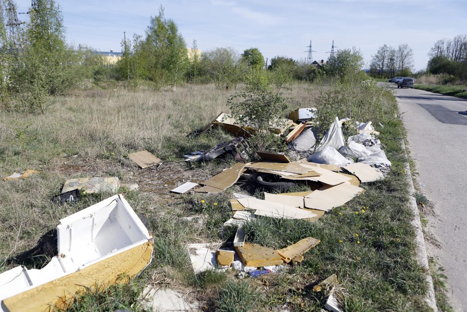 Prieš pažeidėjus uostamiestyje – slaptomis kameromis