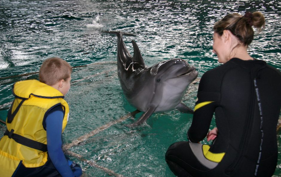 Delfinų terapijos centre – ne tik delfinai