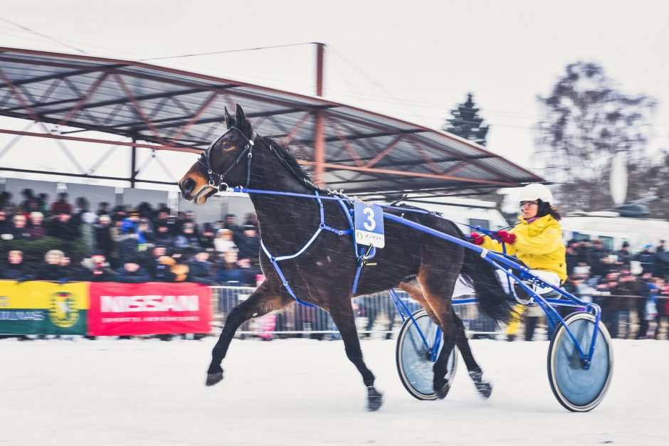 „Sartai 2019“: 50 žirgų tramdys 35 trijų Baltijos šalių važnyčiotojai