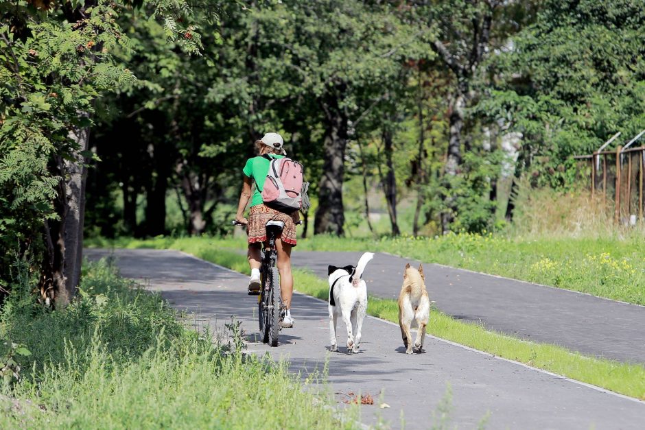 Rumpiškės kvartale erkės puola ir keturkojus