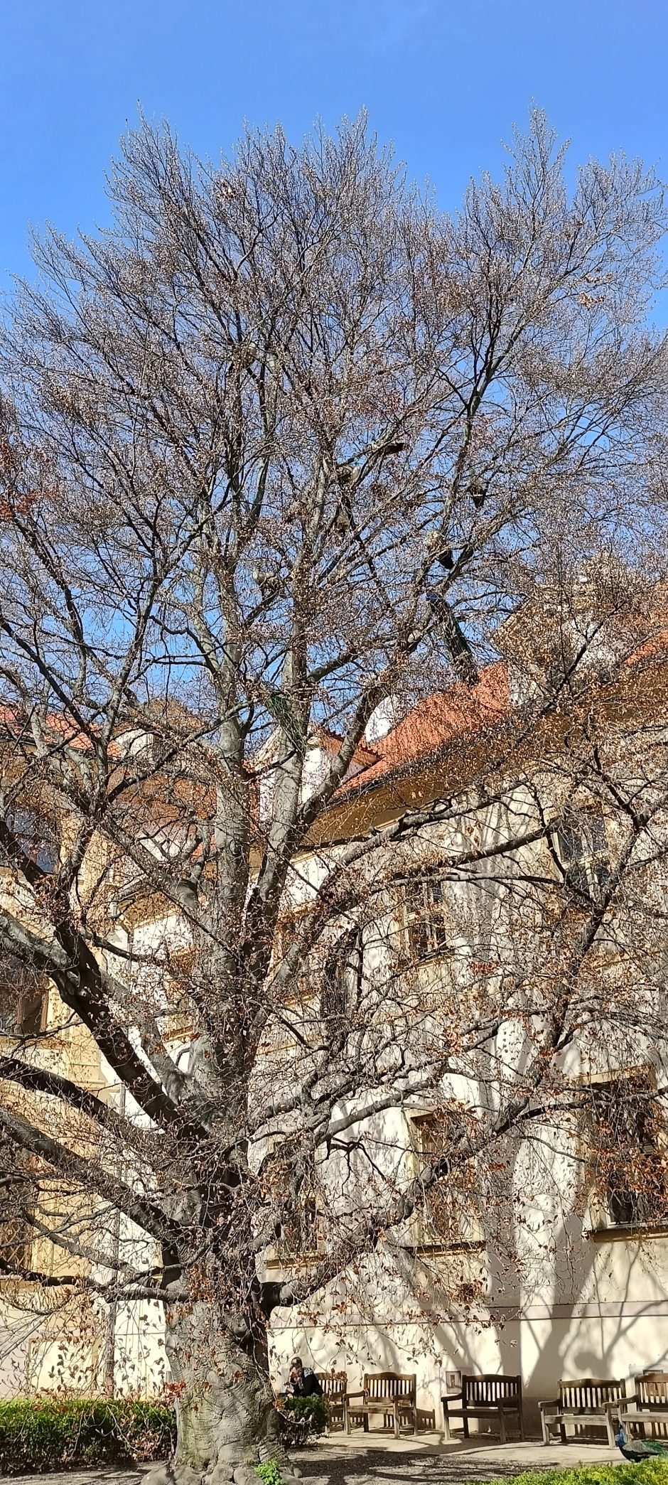 Žalio turisto užrašai. 1 500 minučių karališkoje Prahoje