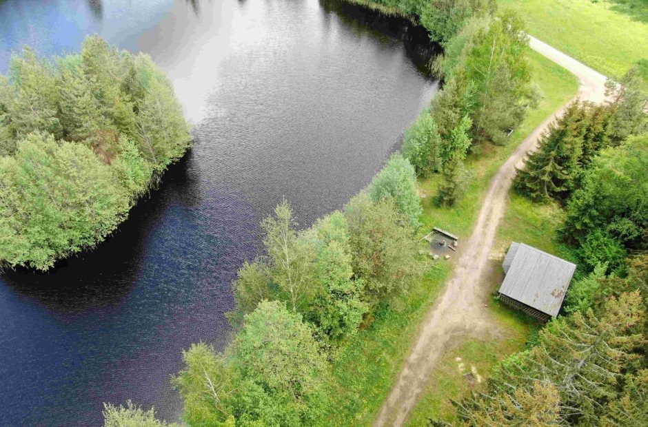 Iškeisk miestą į mišką: Aukštaitijos girių didybė