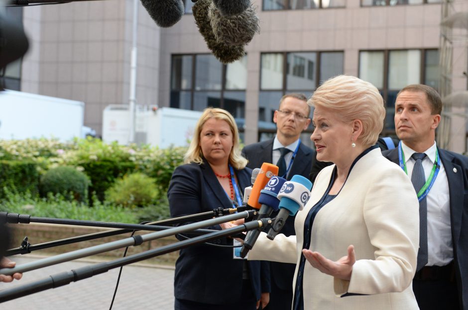 D. Grybauskaitė: sankcijos Rusijai dėl Ukrainos – nepakankamos