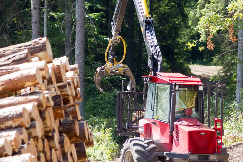 Premjeras su aplinkos ministru aiškinsis situaciją dėl kertamų miškų